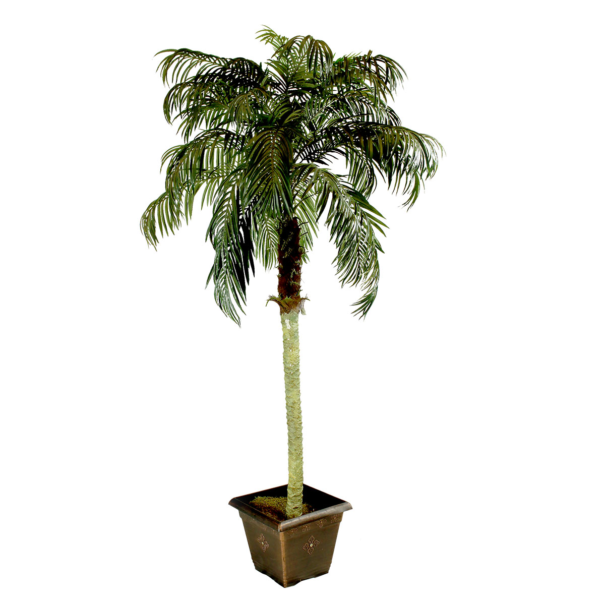 8' Palm Tree