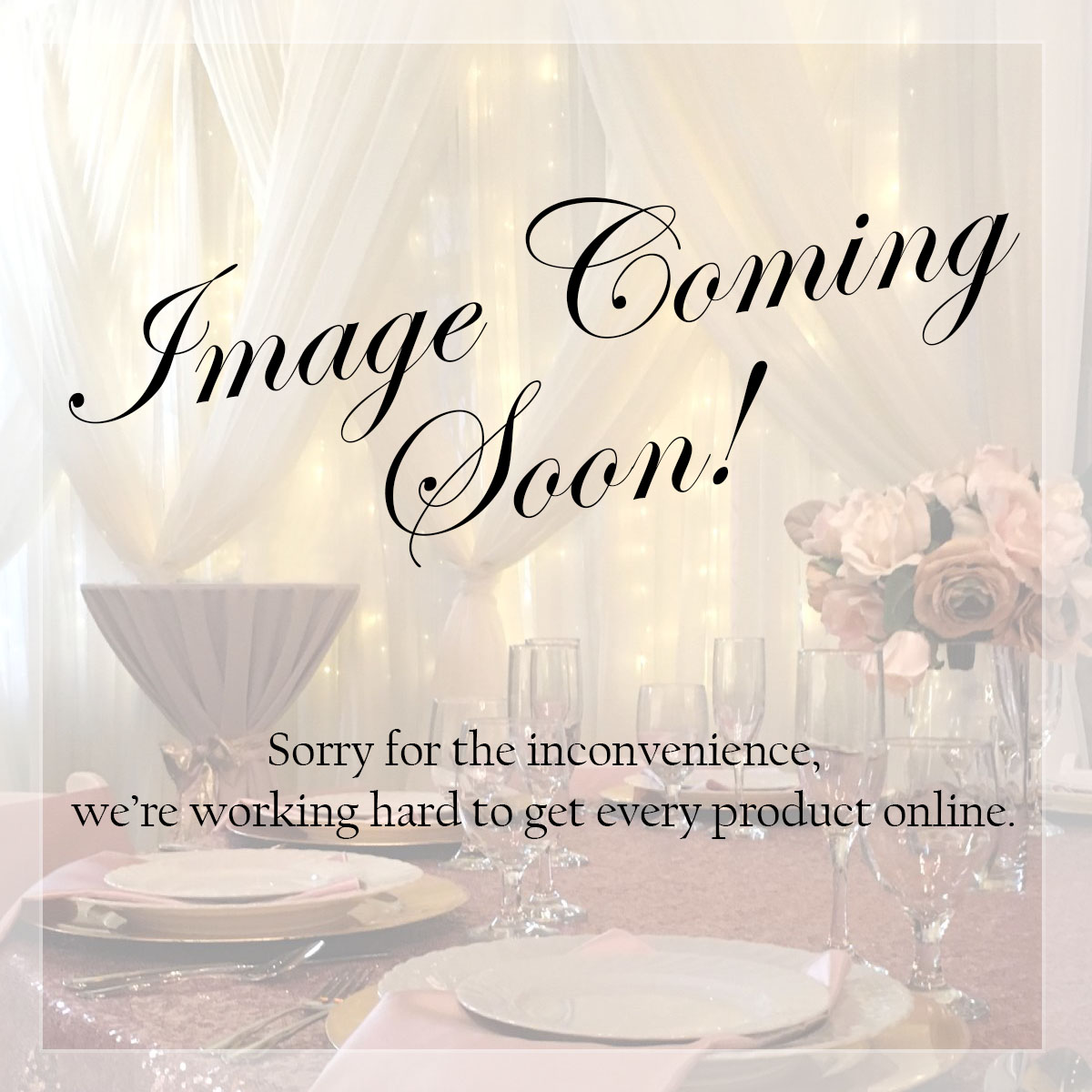Wicker Round Bread Basket 8 1/2